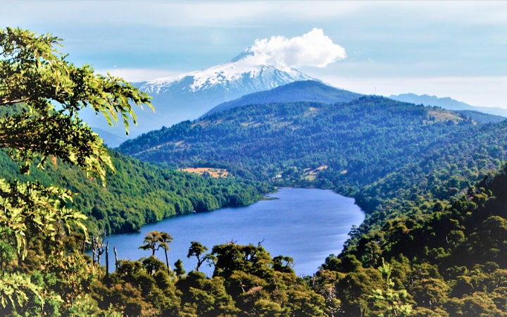 https://commons.wikimedia.org/wiki/File:Parque_nacional_Huerquehue_-_SENDERO.jpg