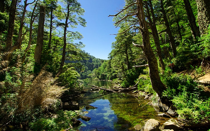 https://www.flickr.com/photos/chris_c_m/13151281705